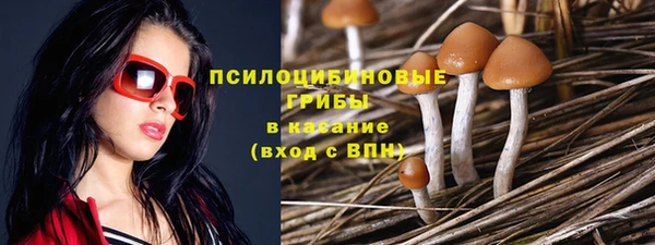 марихуана Богородицк